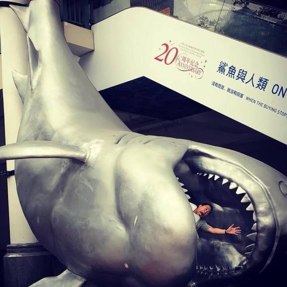 Meet your Posher, Pat - Picture 1 of 1